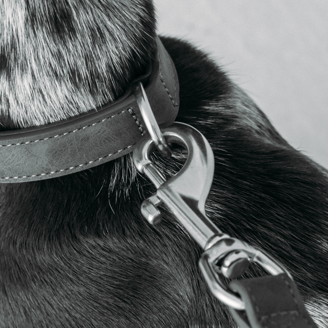Dog Leash Sand Beige