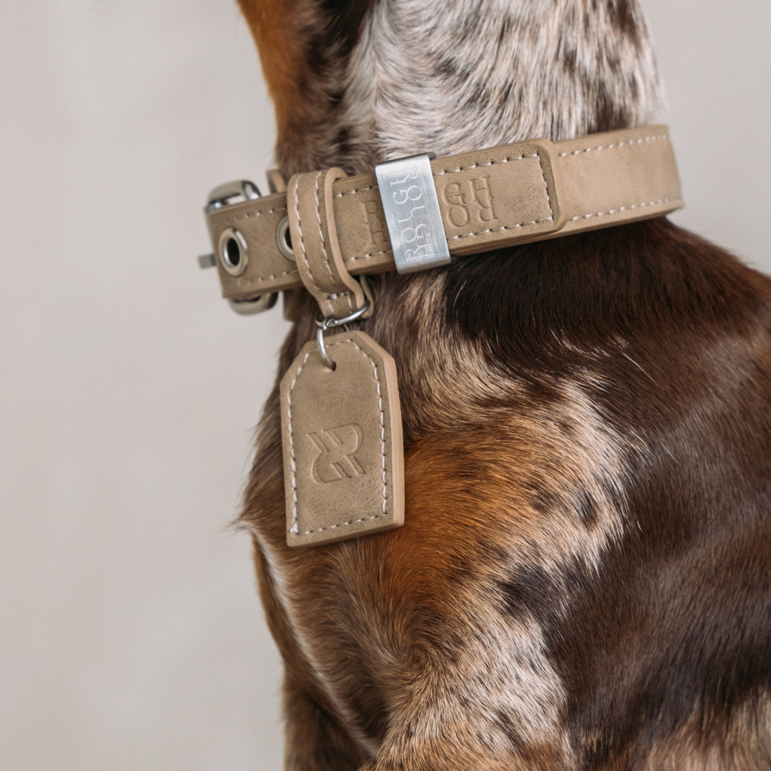 Dog Collar Sand Beige