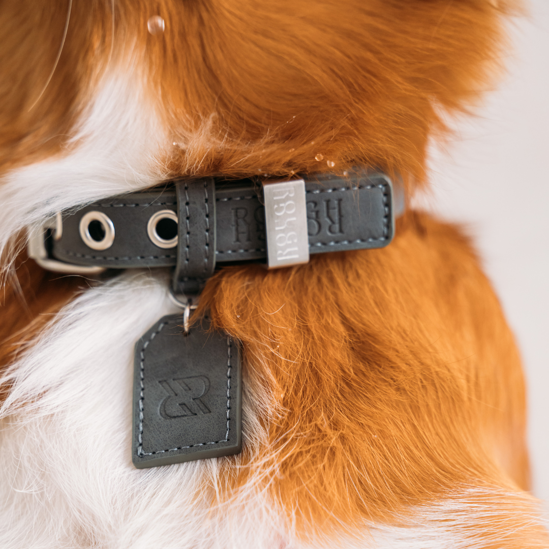 Dog Collar Stone Grey