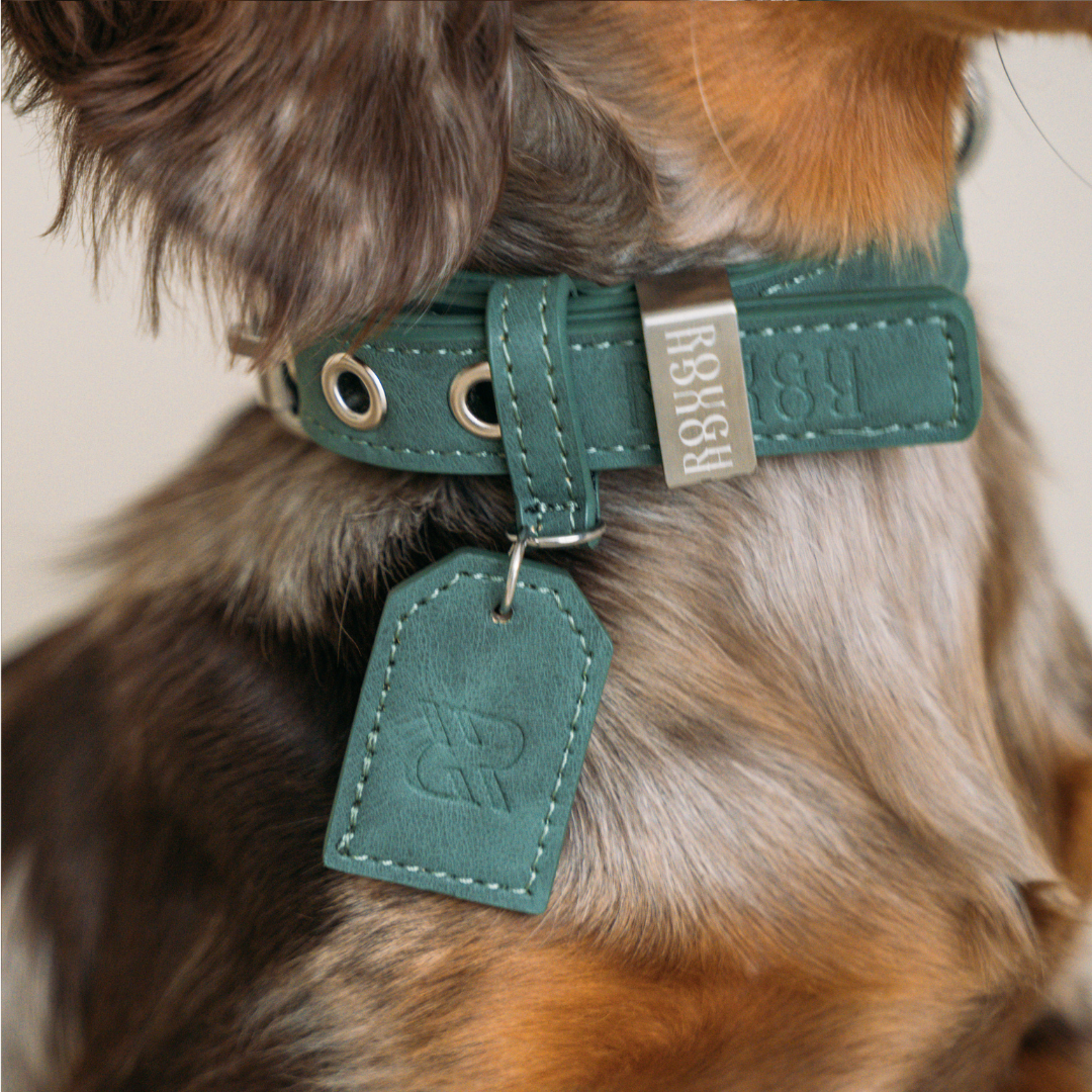Dog Collar Forest Green