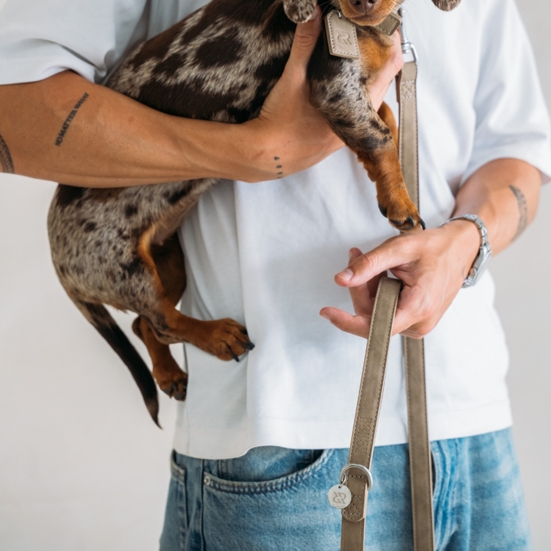 Dog Leash Sand Beige