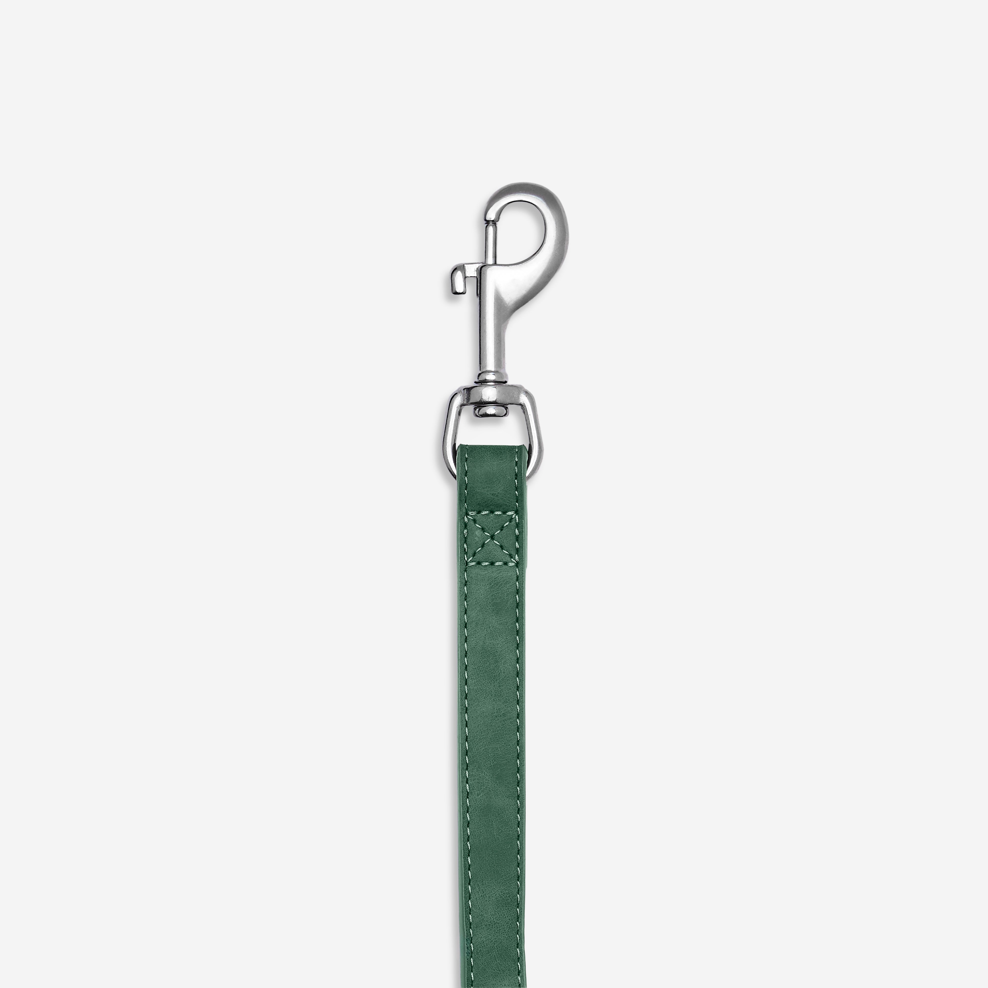 Dog Leash Forest Green
