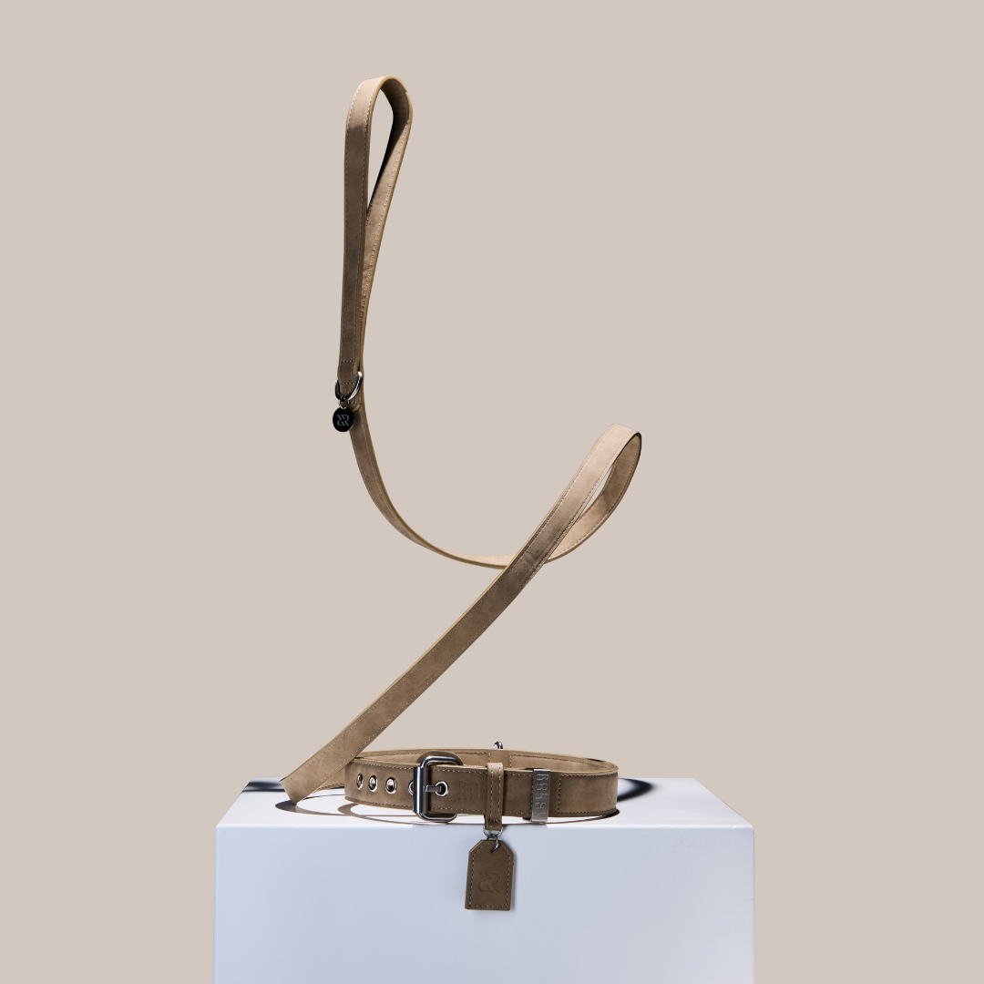 Rough Rough Dog Leash Beige Sand