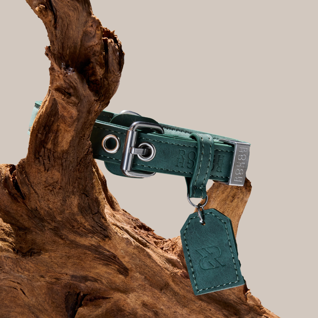 Forest Green Dog Collar
