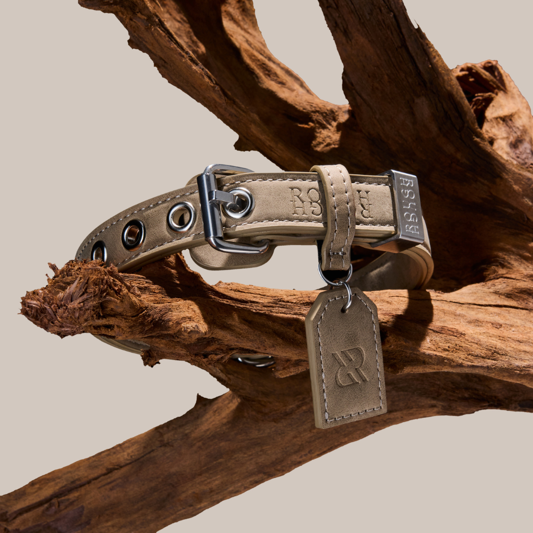 Rough Rough Dog Collar Beige Sand