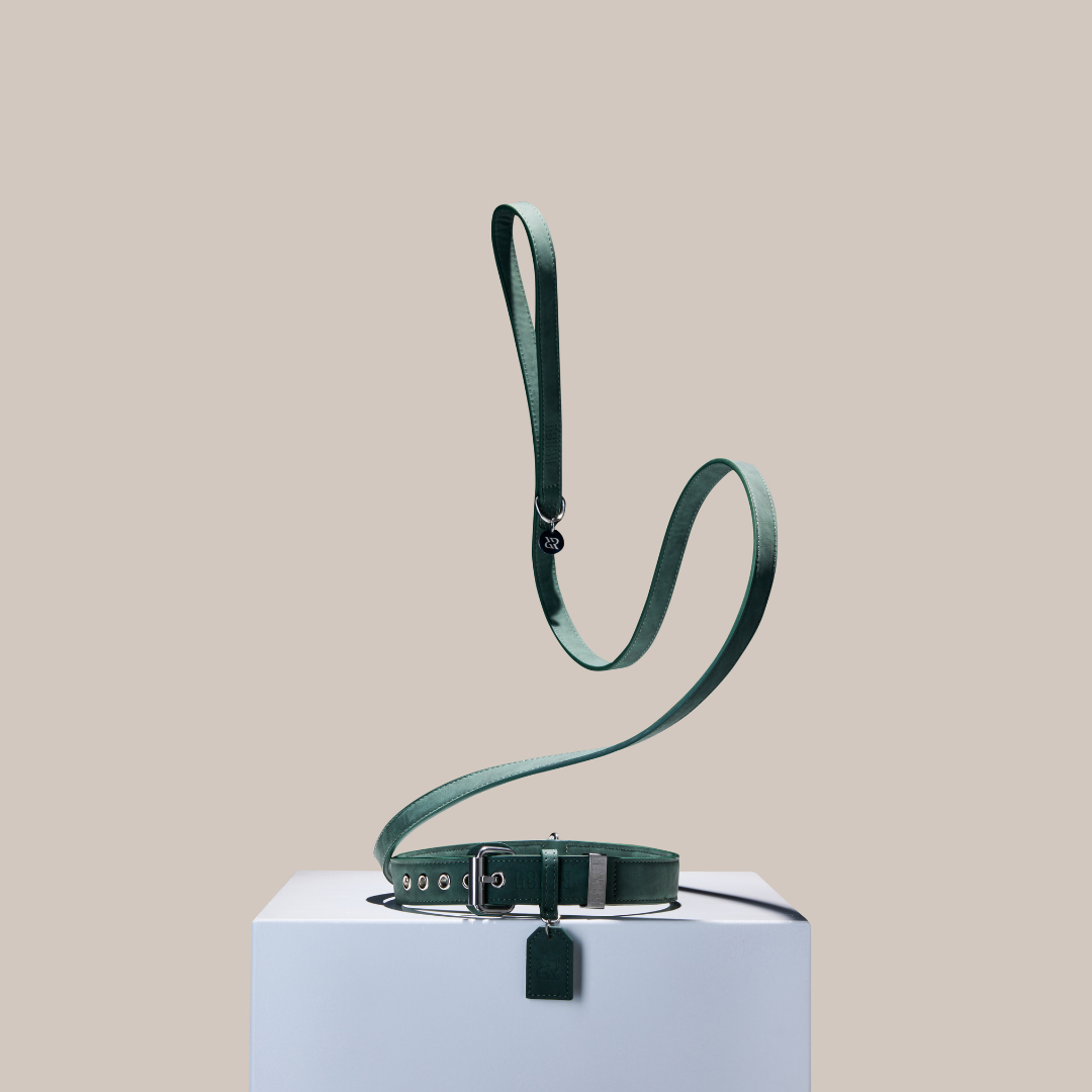Rough Rough Dog Leash Forest Green